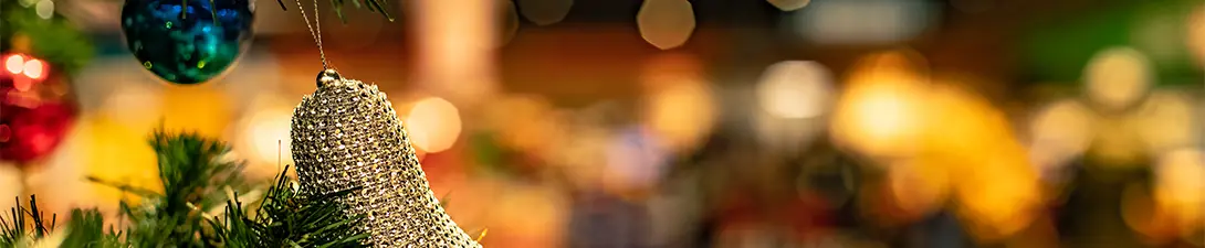 Banner principal da pagina interna do